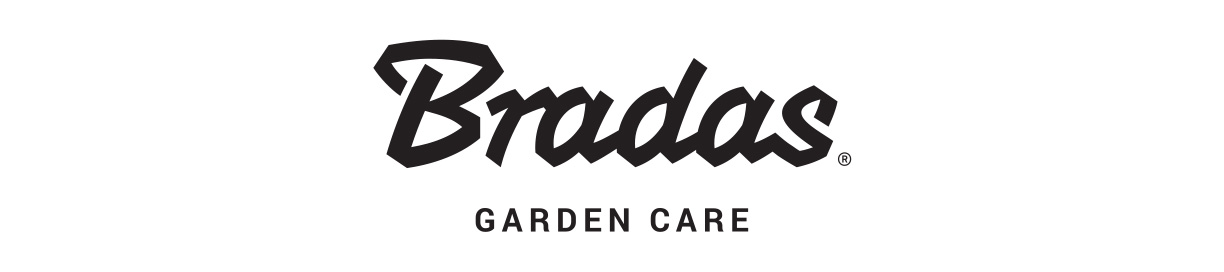 Bradas